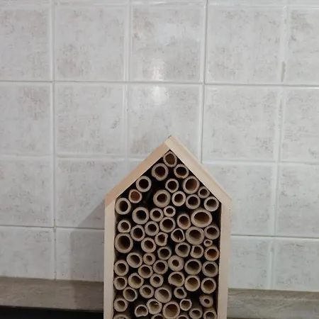 Brown Experience South Sardinia 公寓 *