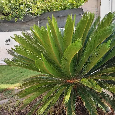 Brown Experience South Sardinia * 普拉