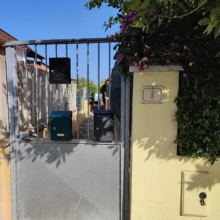 Brown Experience South Sardinia