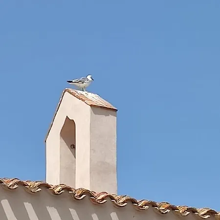 Brown Experience South Sardinia 普拉